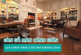 Sàn Gỗ Màu Cánh Gián – Lựa Chọn Cho Không Gian Đẳng Cấp
