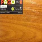 San-go-pago-PG113