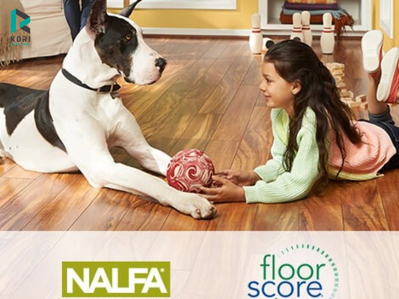 Lựa chọn các loại sàn gỗ có chứng nhận an toàn